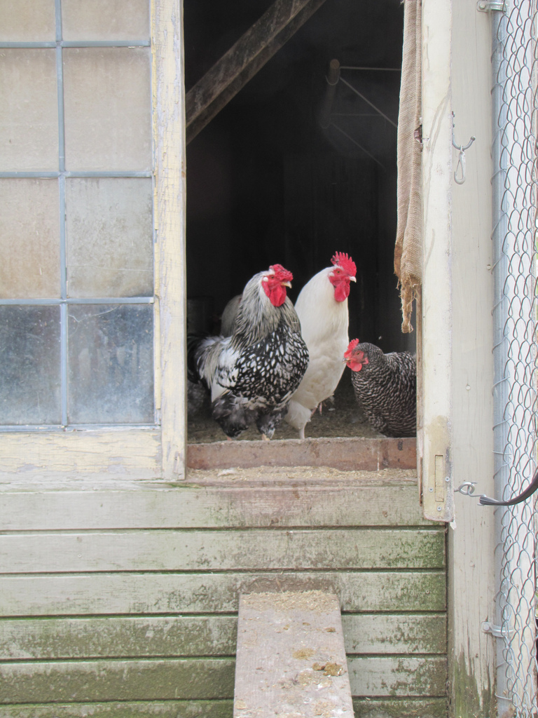 Reason For Not Eating Out #50: To Do More Good