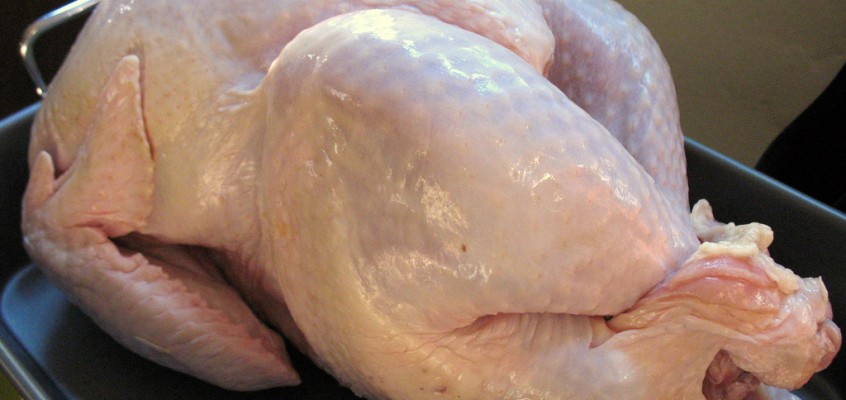 I’m not a chicken, I’m getting a free-range turkey
