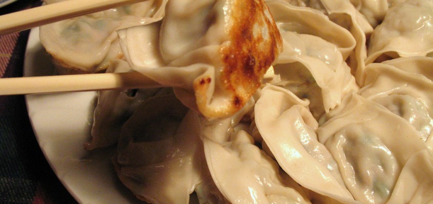 The Year of the Ox (Dumplings)