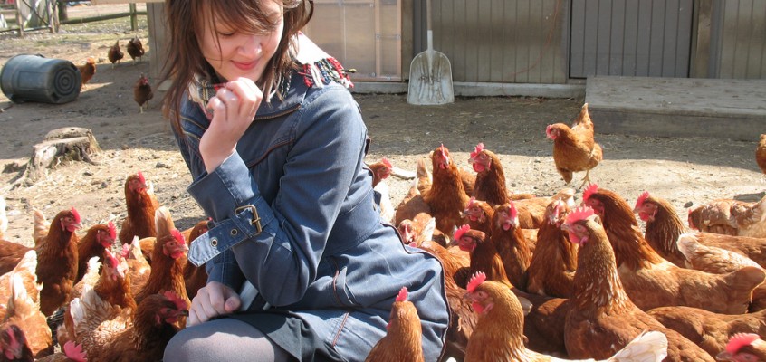 A Day at Queens County Farm Museum