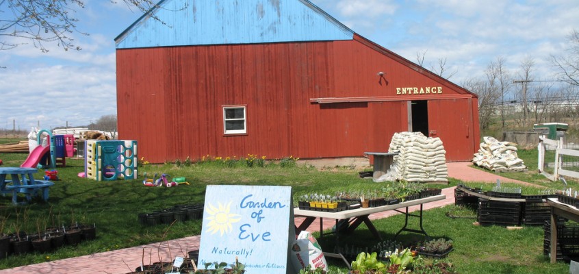 From Gardening to Farming: A Glimpse at Long Island’s Garden of Eve Farm