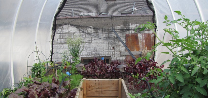 Support Urban Farming at Roberta’s Pizza Tonight