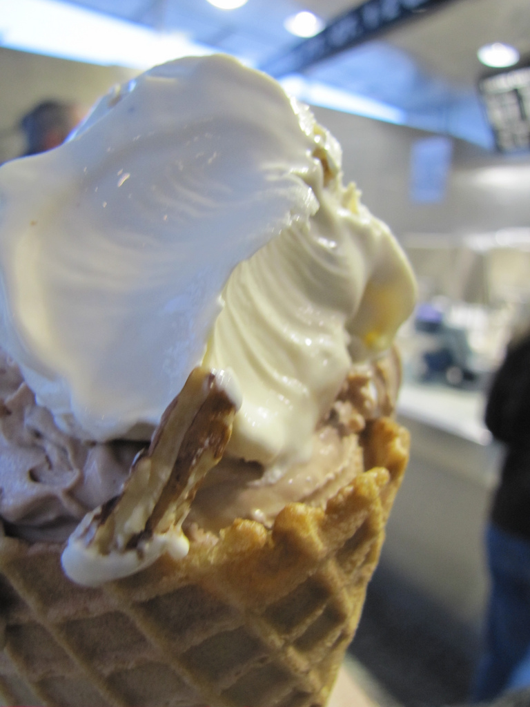 Custard’s Last Stand (or rather, mine with it)