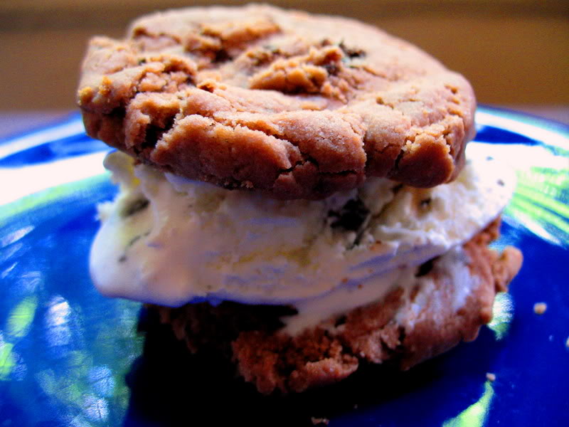 Wintergreen Chip Ice Cream Cookiewiches