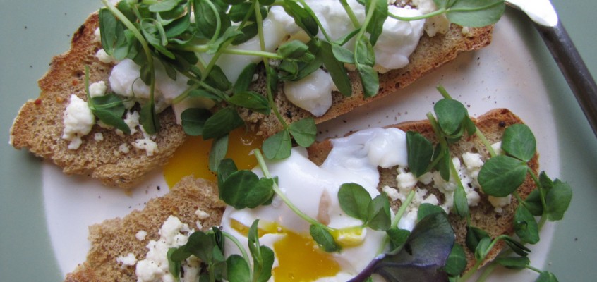 The Week Of Eating In Day One: Starting Off Slow