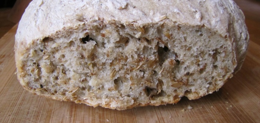 Sourdough & Spent Grain Bread