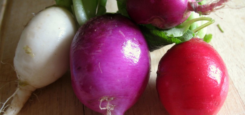 Still Time to Sign Up For a CSA!