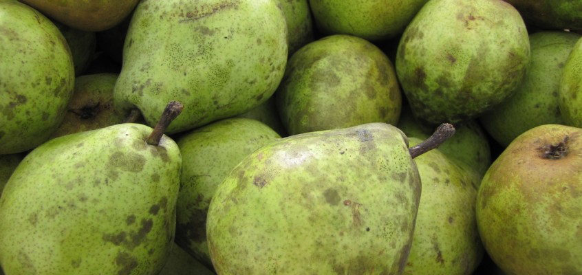 Help Healthy Bodega Initiative & Red Jacket Orchard Bring Local Produce to Bodegas