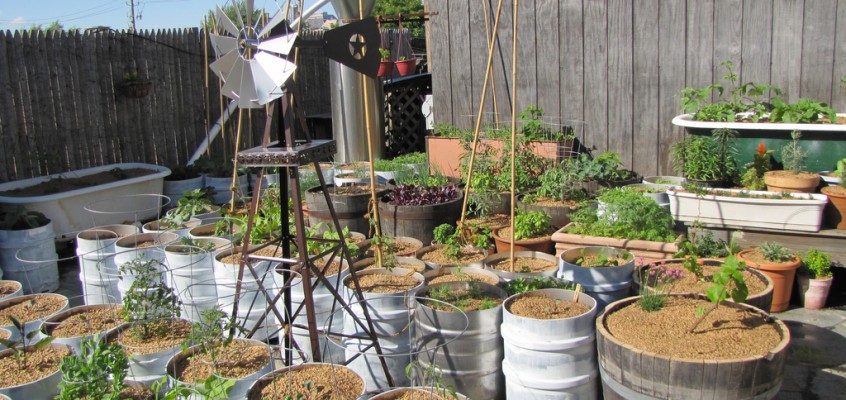 Introducing Lunch at Sixpoint, where I’m cooking from now