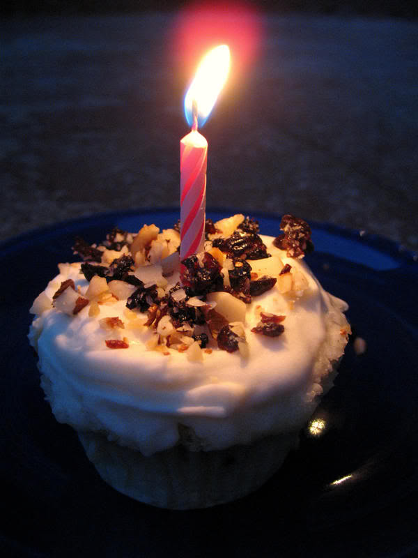 Reason For Not Eating Out #13: 1 Year of Not Eating Out, 114 Recipes, and only 6 Regrets