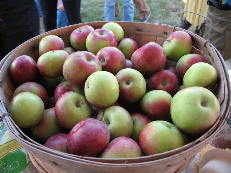 Hoeing Down in Rhode Island