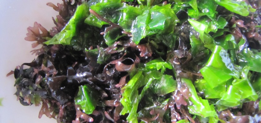 Seaweed Salad (with the stuff washed up on the shore)