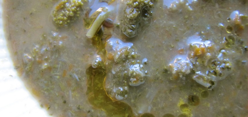 Broccoli & Roasted Garlic Soup