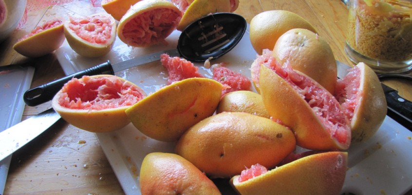 TripHop Grapefruit IPA (and a recap of Beer For Beasts)