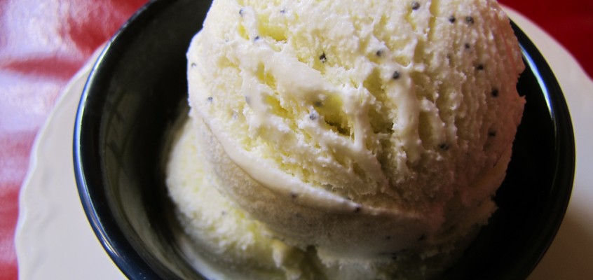 Lemon Poppy Gelato