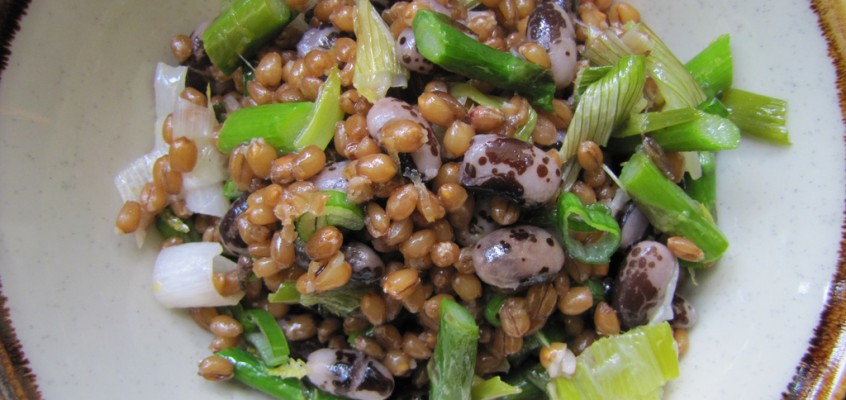 Wheatberry & Bean Salad with Roasted Spring Onions & Asparagus