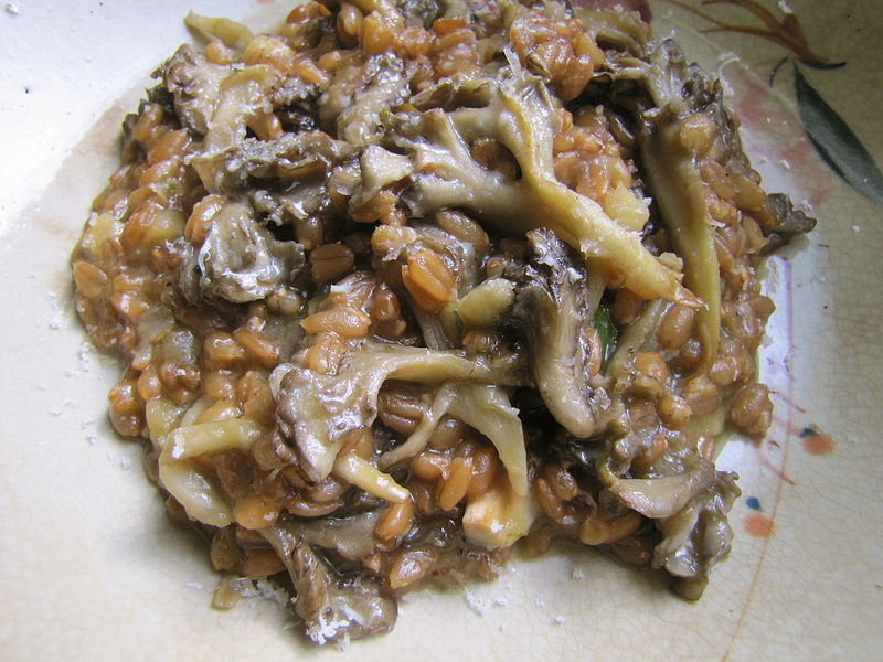 Spelt Risotto with Hen of the Woods Mushrooms and Parsnips