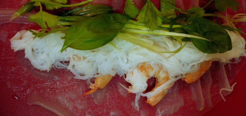 Vietnamese-Style Summer Rolls with Shrimp or Tofu