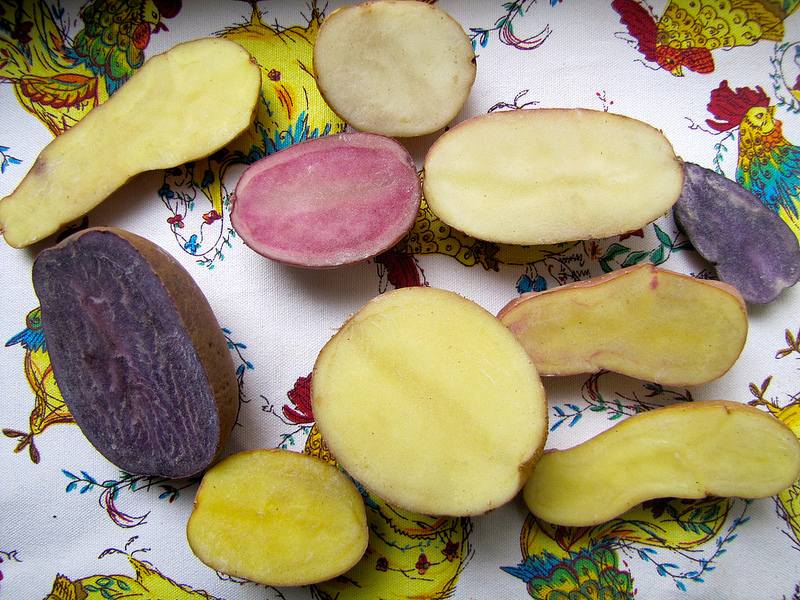 An Heirloom Potato Primer